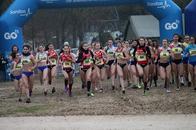 LVIII TROFEO MARATHON DE CAMPO A TRAVES