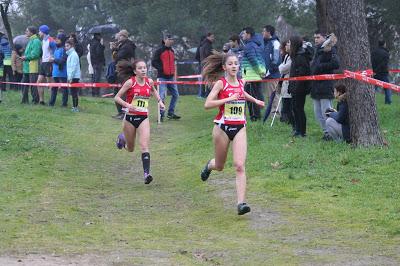 LVIII TROFEO MARATHON DE CAMPO A TRAVES