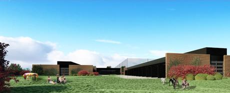 A-cero Projects PROYECTO SOLIDARIO PARA UN CENTRO DE RECUPERACIÓN DE GALGOS DISEÑADO POR A-CERO