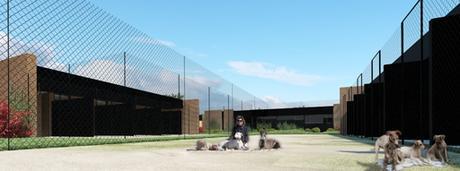 A-cero Projects PROYECTO SOLIDARIO PARA UN CENTRO DE RECUPERACIÓN DE GALGOS DISEÑADO POR A-CERO