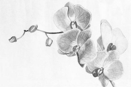 LAS ILUSTRACIONES DE IRENE - A PLACE FOR MY HEAD