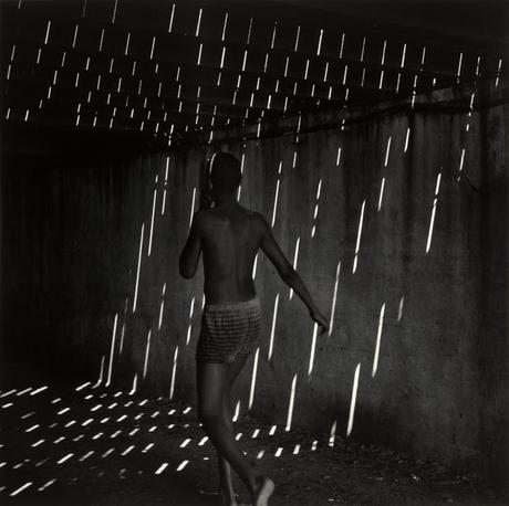 Metzker y sus amigos