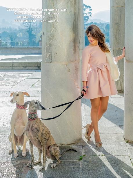 LE CHAT ERRANT DE LITT