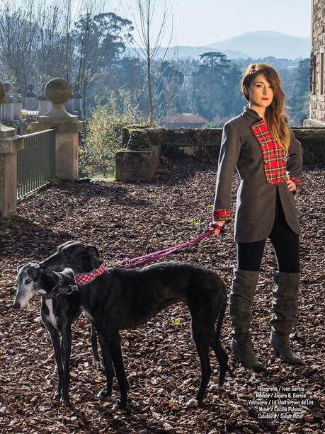 LE CHAT ERRANT DE LITT