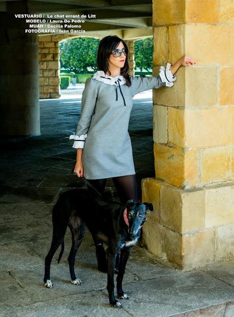 LE CHAT ERRANT DE LITT