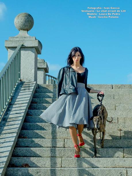 LE CHAT ERRANT DE LITT