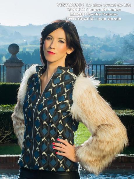 LE CHAT ERRANT DE LITT