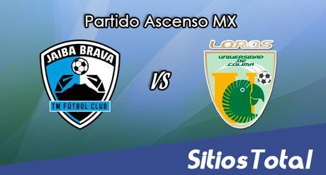 Tampico Madero vs Loros de Colima en Vivo – Online, Por TV, Radio en Linea, MxM – Clausura 2017 – Ascenso MX