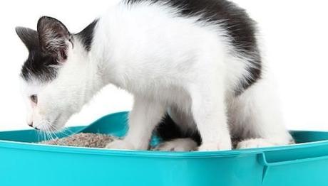 los factores tras ese comportamiento