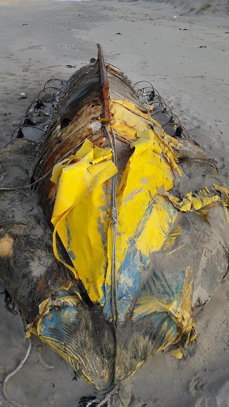 ¡Inaudito!:Aparece balsa cubana en Irlanda