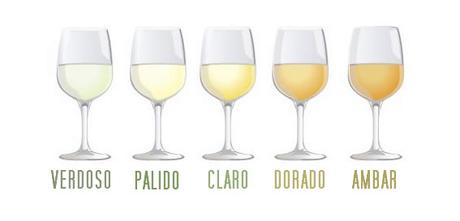 Colores del vino Blanco