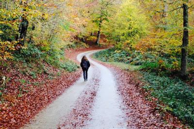 Cambios de comportamiento por la ansiedad
