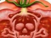 historia completa Monsanto