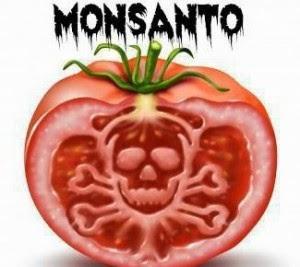La historia completa de Monsanto 1