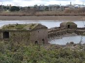 Ruta Molinos Harineros Guadiana