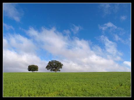 Ejercicios Basicos Aprender Composicion Regla Tercios