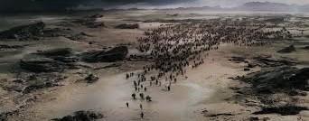 Apocalipsis y amanecer