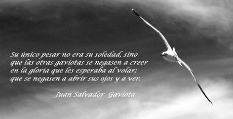 Juan Salvador Gaviota