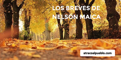 LOS BREVES DE NELSON MAICA