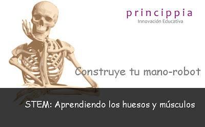 Crea tu propio robot para aprender los huesos y los músculos