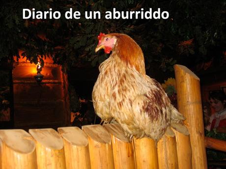 El año del gallo