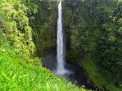 Akaka falls. Island Hawaii
