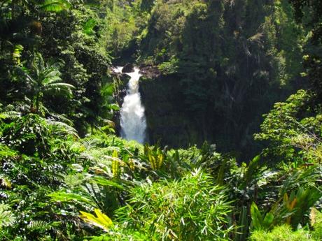 Akaka falls. Big Island Hawaii