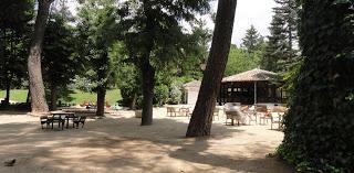 De tapas por Guadalajara