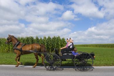 Viaje al pasado en tierras amish, Pennsylvania