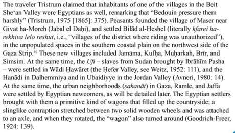 La invención del pueblo palestino: colonos egipcios. 1441646556_941217_1441648409_portada_grande.jpg