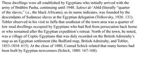 La invención del pueblo palestino: colonos egipcios. 1441646556_941217_1441648409_portada_grande