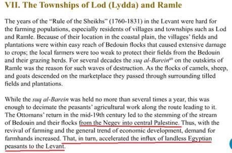 La invención del pueblo palestino: colonos egipcios. 1441646556_941217_1441648409_portada_grande.jpg