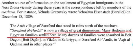 La invención del pueblo palestino: colonos egipcios. 1441646556_941217_1441648409_portada_grande.jpg