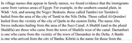 La invención del pueblo palestino: colonos egipcios. 1441646556_941217_1441648409_portada_grande.jpg