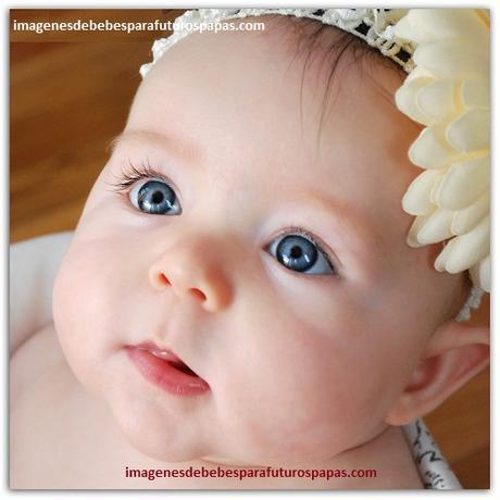 imagenes de los bebes mas hermosos del mundo lindos