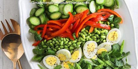 fotos de platos de ensaladas fresca