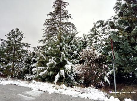 RUTA POR GRANADA NORTE