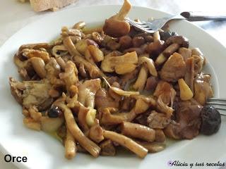 RUTA POR GRANADA NORTE