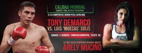 Antonio De Marco vs Luis Solís en Vivo – Box – Sábado 11 de Febrero del 2017