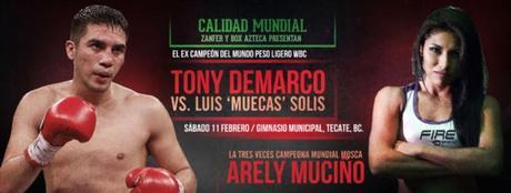 Antonio De Marco vs Luis Solís en Vivo – Box – Sábado 11 de Febrero del 2017 Antonio De Marco vs Luis Solís en Vivo – Box – Sábado 11 de Febrero del 2017