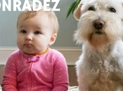 revolución honradez