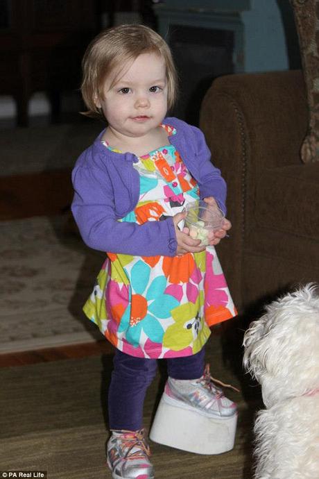 Platform: Elsie, pictured, was fitted with a prosthetic foot, which bridged the gap between her real foot and the floor