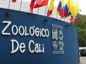 Zoológico Cali, Espacio Para Aprender Divertirse