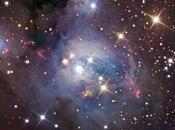 polvo estrellas 7129