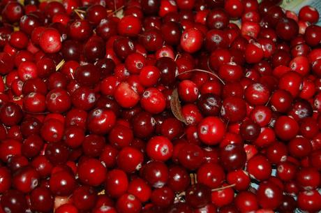 Cranberries. Las bayas sanas y energéticas