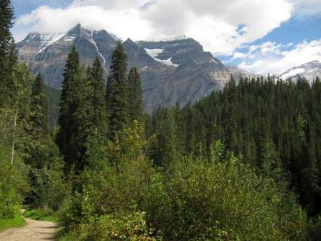 Canadá: (Día 9) Caribús, salmones y  Mount Robson, el punto más alto de las Rocosas