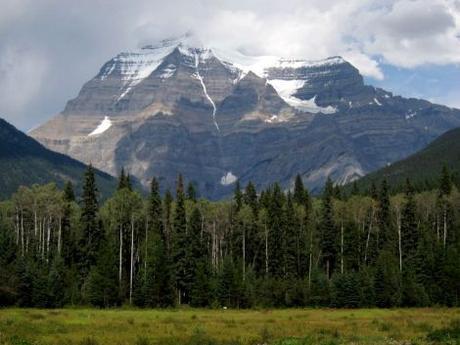 Canadá: (Día 9) Caribús, salmones y  Mount Robson, el punto más alto de las Rocosas