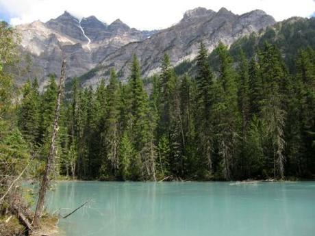 Canadá: (Día 9) Caribús, salmones y  Mount Robson, el punto más alto de las Rocosas