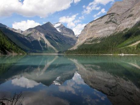 Canadá: (Día 9) Caribús, salmones y  Mount Robson, el punto más alto de las Rocosas