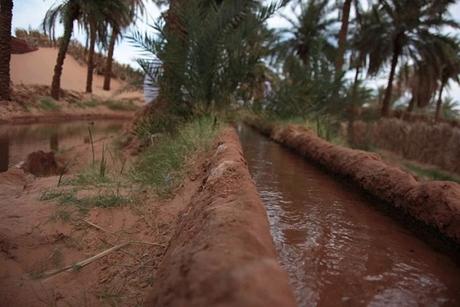 CAP. 40 . . . . . . . . . . . . . . . . . . . . . . . . . . . . . . Andanzas y tropezones de Dikembe Biyombo